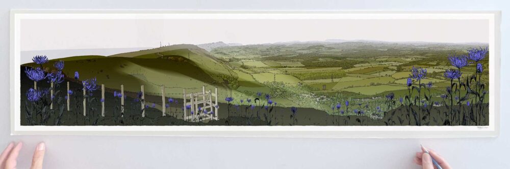 Art print by artist alej ez titled Round Headed Rampion, Pride of Sussex in flower over the Downs