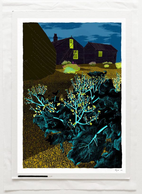 Fine art print by UK artist alej ez titled Derek Jarman Garden Prospect Cottage