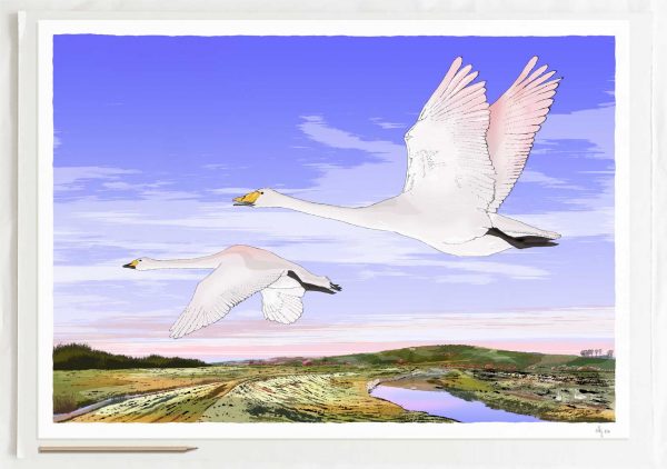 Framed art prints by artist alej ez titled Swan Art Eventide. The flight over Litlington White Horse in the South Downs