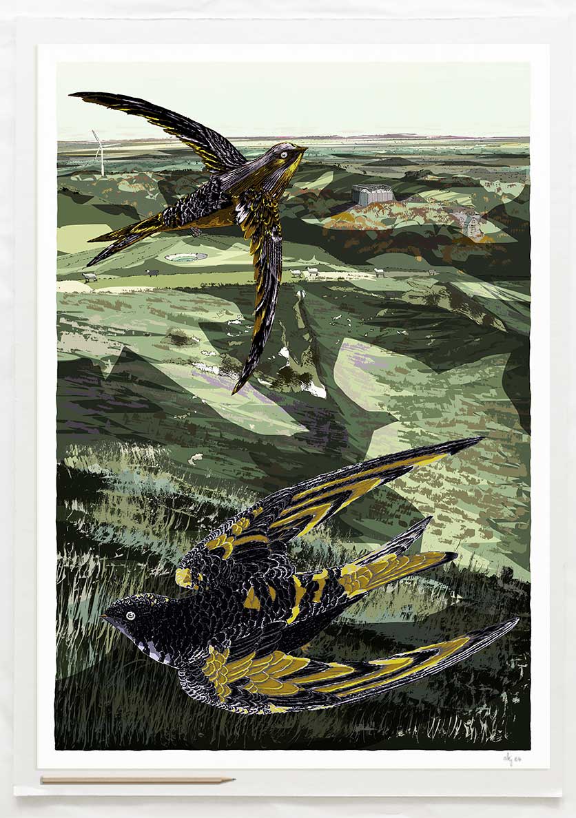 Art print by artist alej ez titled Swifts over Glyndebourne a Sussex Landscape