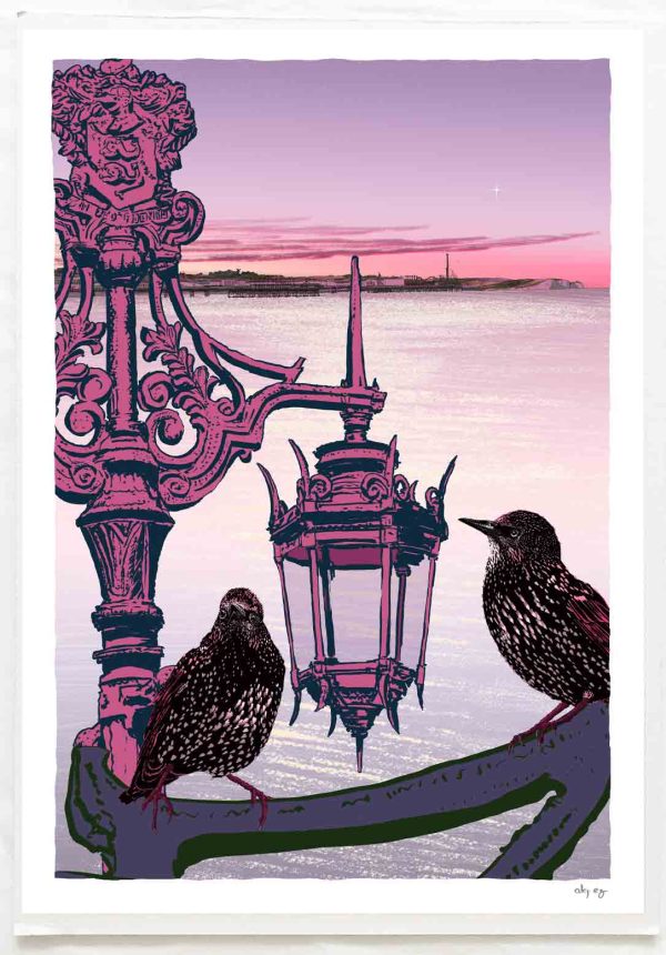 art print tilted Starlight Starlings Brighton by artist alej ez