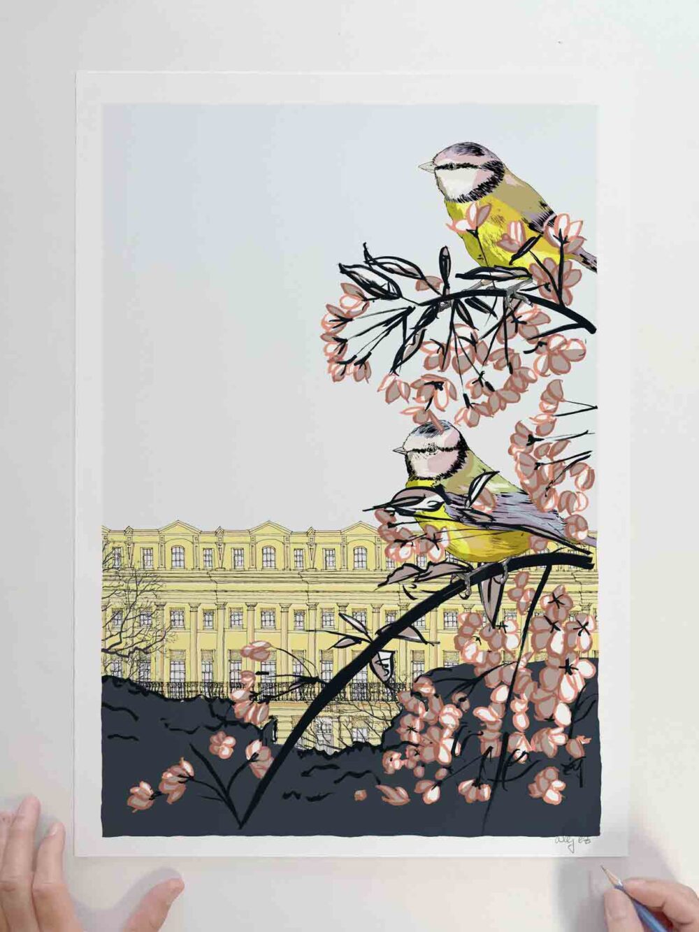 art print by artist alej ez titled Brunswick Square Tits and Cherry Blossom