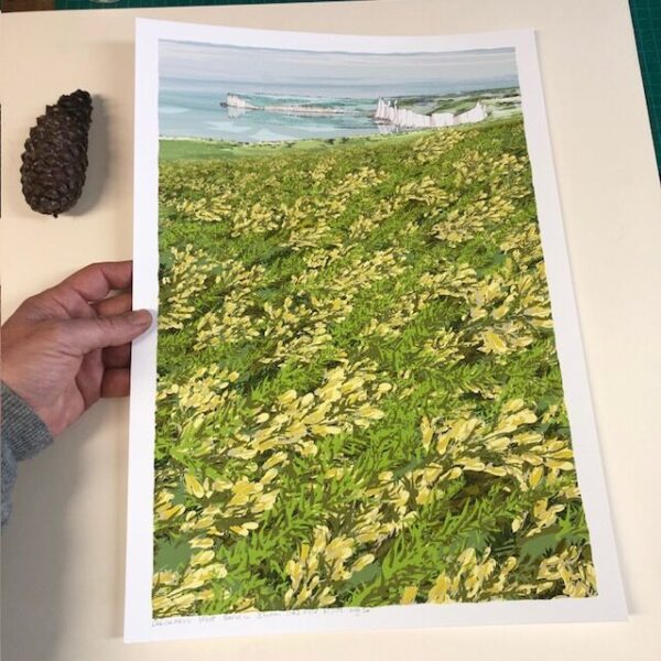 Gorse in Bloom Sea Seven Sisters South Downs Chalk and Flint Cliffs - Image 2