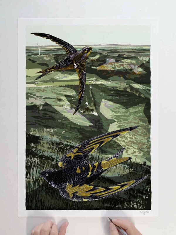 Art print by artist alej ez titled Swifts over Glyndebourne a Sussex Landscape