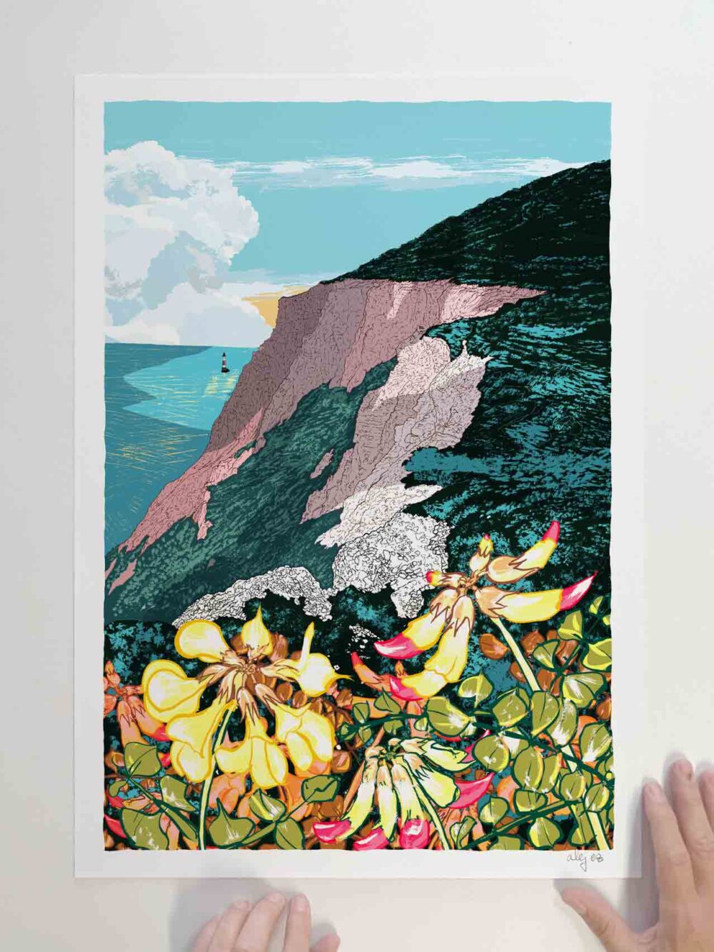 Horseshoe Vetch Beachy Head Fileds