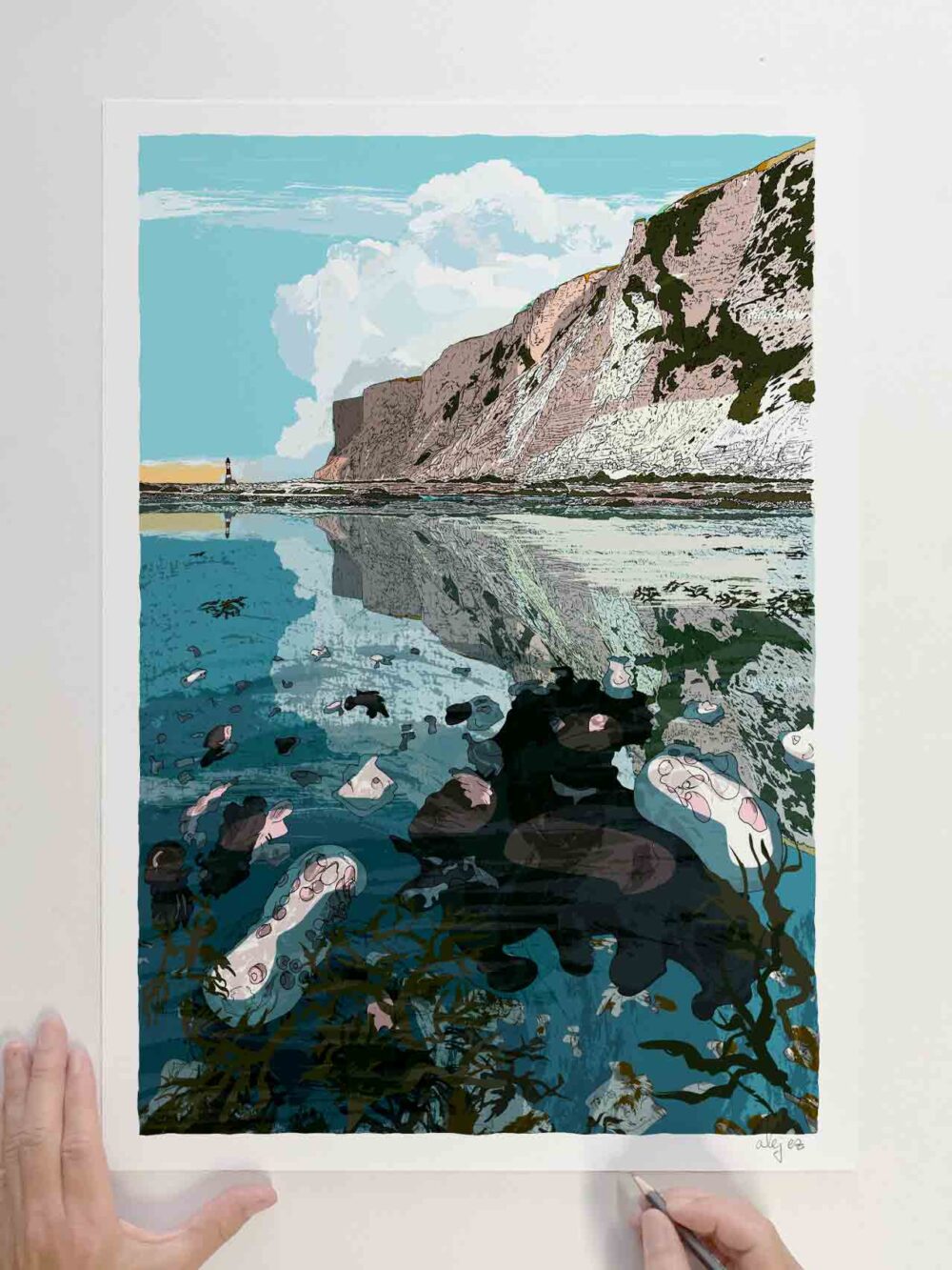 Chalk Piddocks - Angel wings - Beachy Head