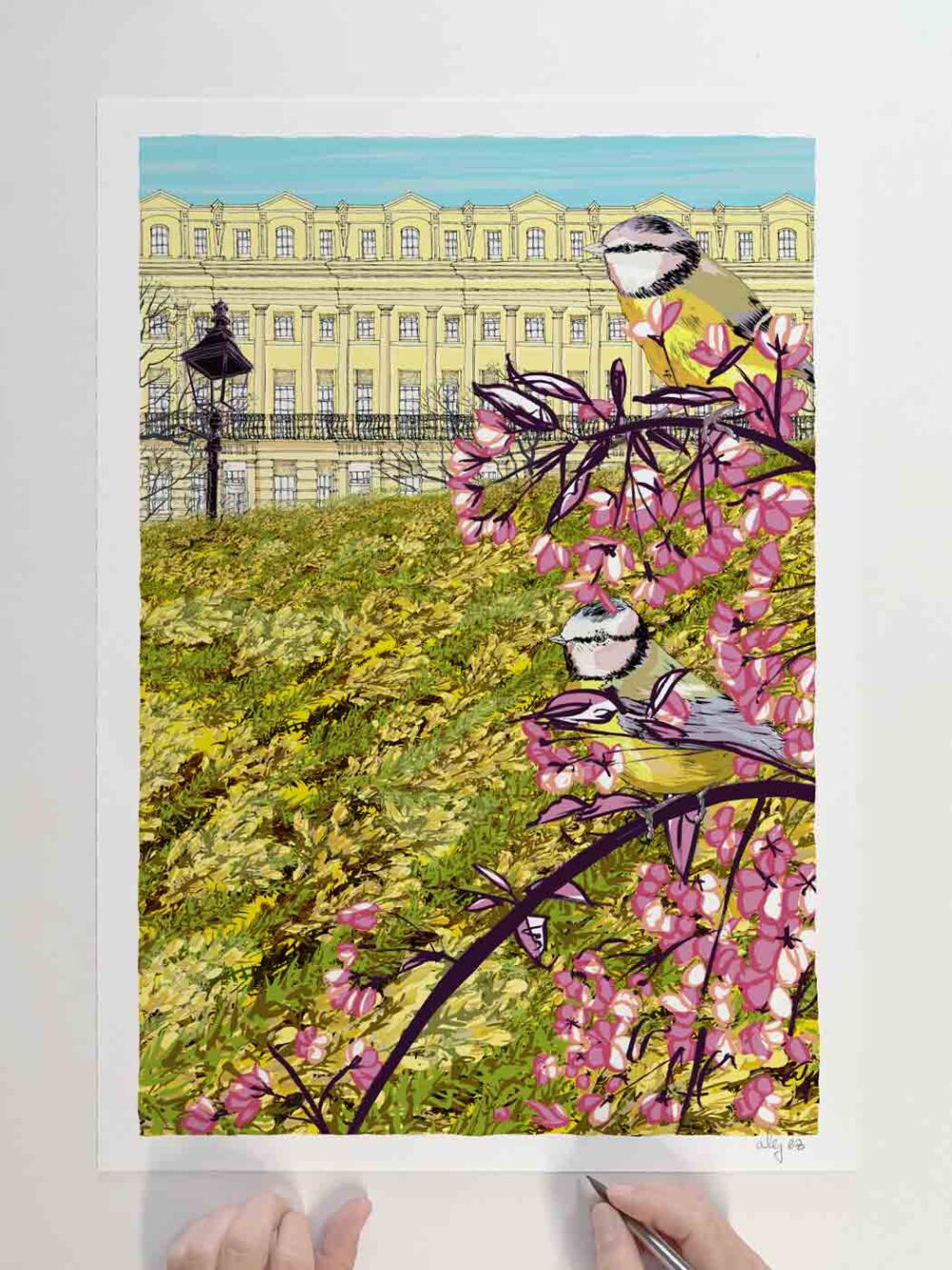 Art print by artist alej ez titled Gorse Cherry Blossom and Blue Tits at Brunswick Square