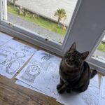 Toby the cat